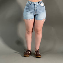 Load image into Gallery viewer, BLUSH SHORTS
